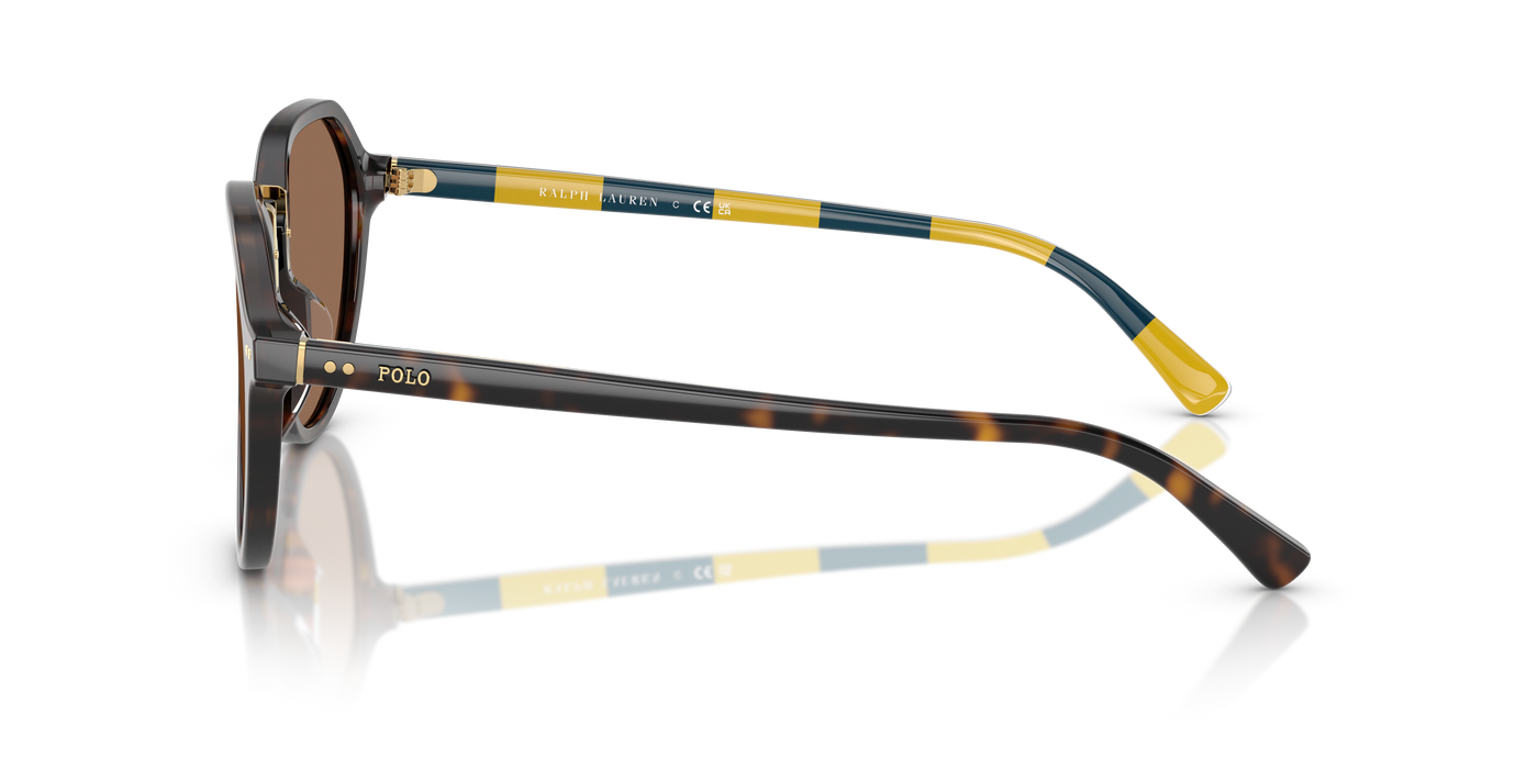 Gafas de Sol Polo Ralph Lauren PH4223U 500373 53 19