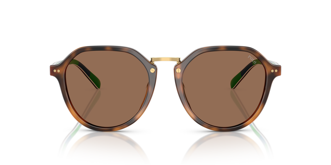 Gafas de Sol Polo Ralph Lauren PH4223U 608973 53 19