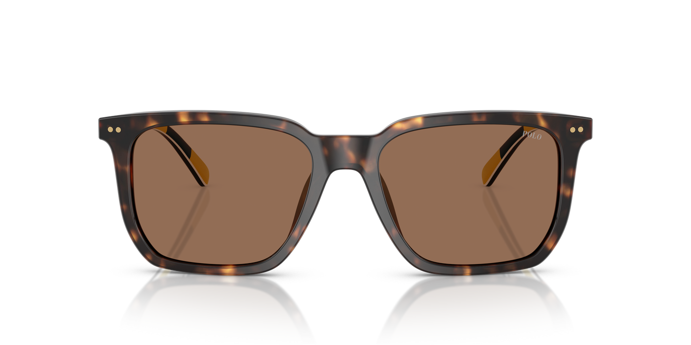 Gafas de Sol Polo Ralph Lauren PH4224U 500373 55 18