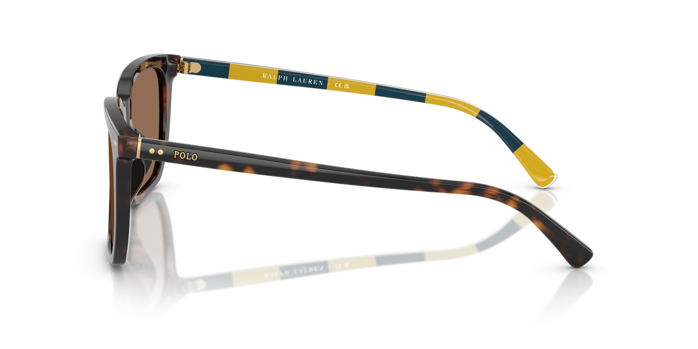 Gafas de Sol Polo Ralph Lauren PH4224U 500373 55 18