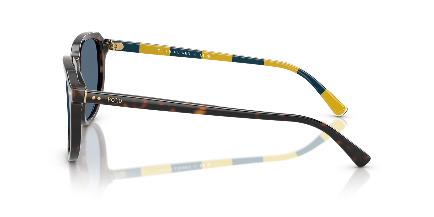 Gafas de Sol Polo Ralph Lauren PH4225 500380 53 18