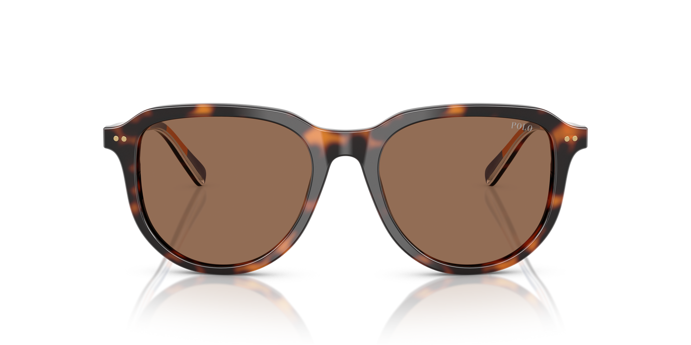 Gafas de Sol Polo Ralph Lauren PH4225 613773 53 18