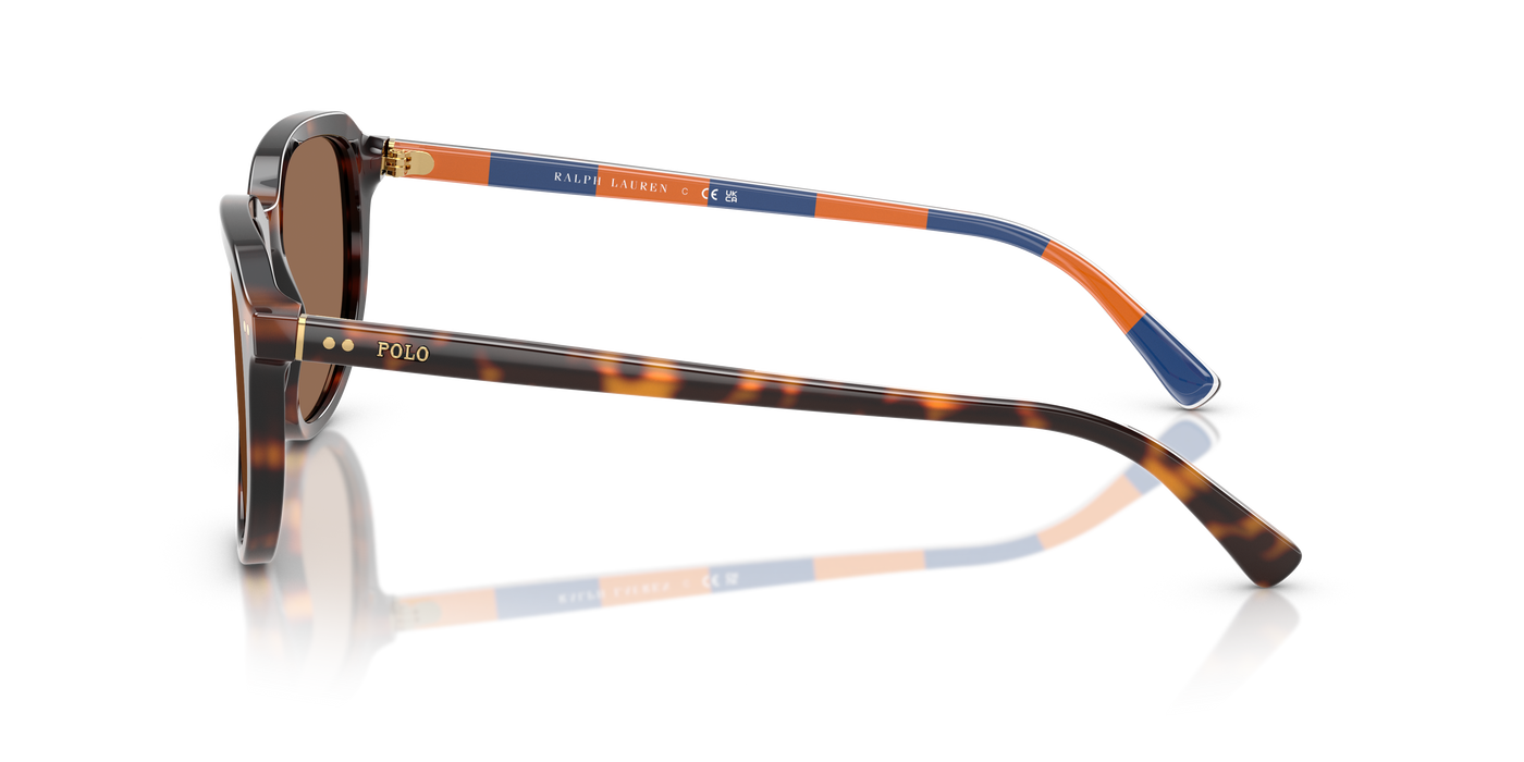 Gafas de Sol Polo Ralph Lauren PH4225 613773 53 18
