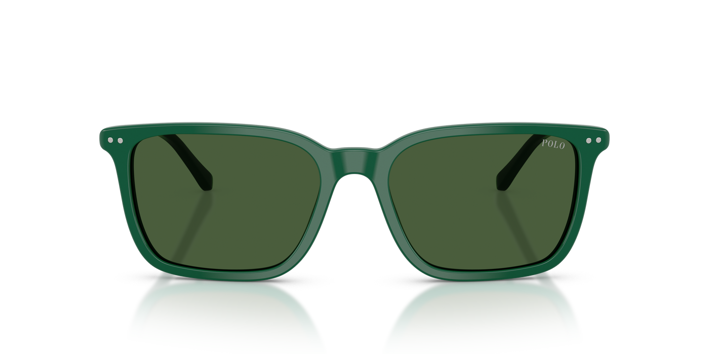 Gafas de Sol Polo Ralph Lauren PH4226 542171 56 18