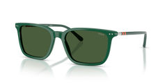 Gafas de Sol Polo Ralph Lauren PH4226 542171 56 18