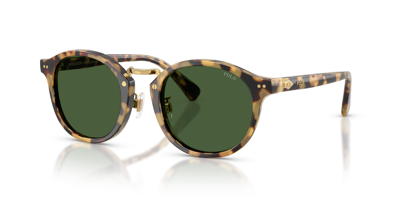 Gafas de Sol Polo Ralph Lauren PH4230 500471 50 22