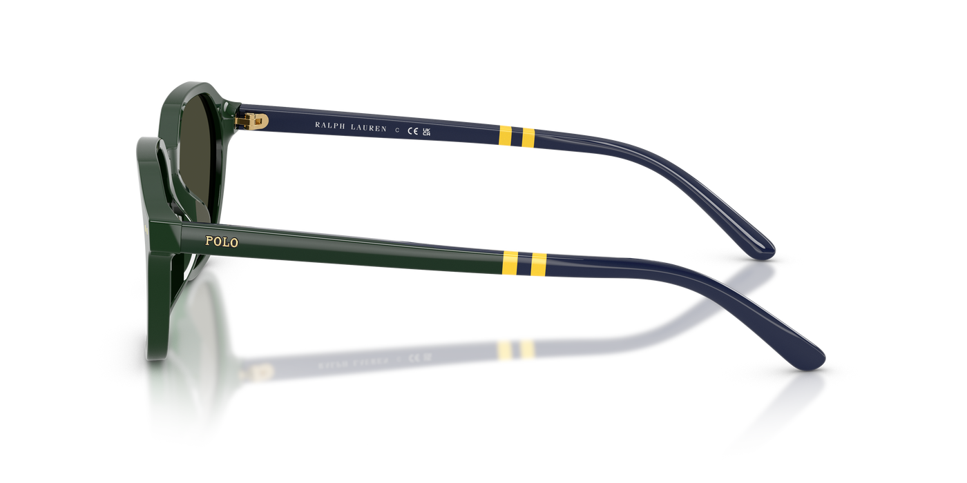 Gafas de Sol Polo Ralph Lauren PH4234U 614082 54 18