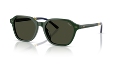 Gafas de Sol Polo Ralph Lauren PH4234U 614082 54 18