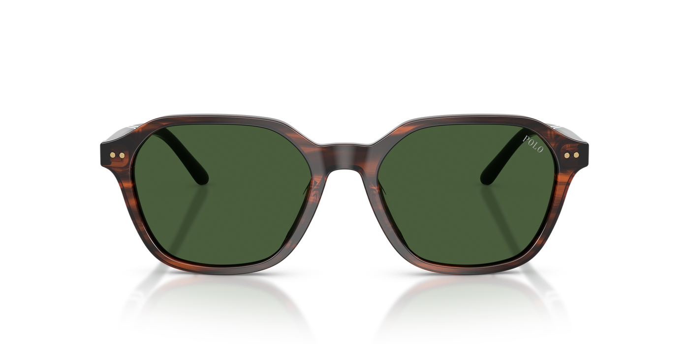 Gafas de Sol Polo Ralph Lauren PH4234U 631571 54 18