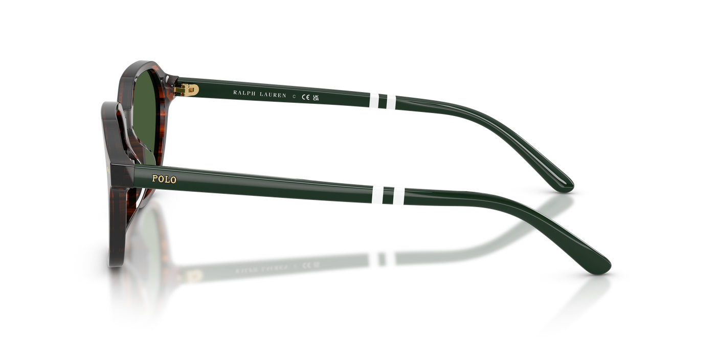 Gafas de Sol Polo Ralph Lauren PH4234U 631571 54 18