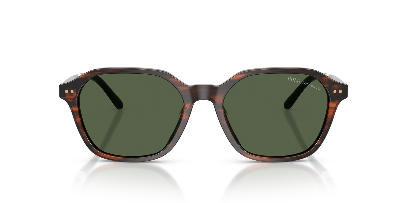 Gafas de Sol Polo Ralph Lauren PH4234U 63159A 54 18