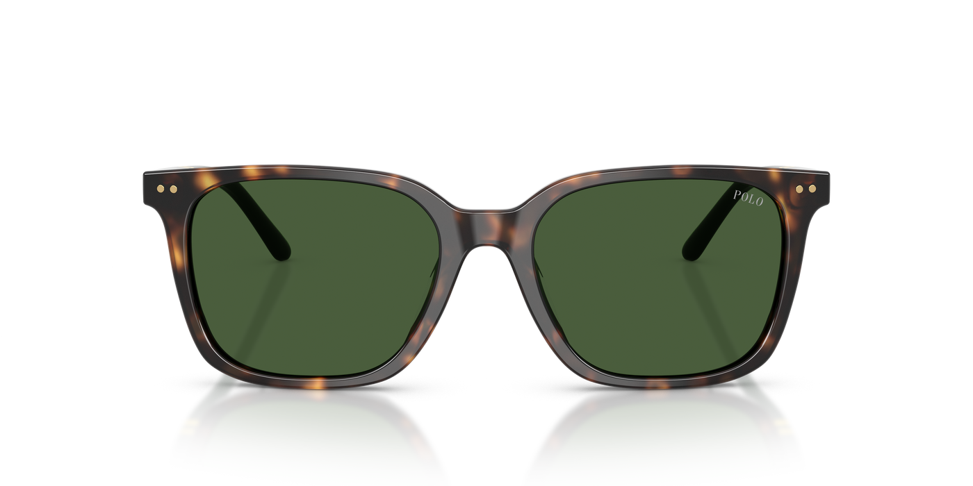Gafas de Sol Polo Ralph Lauren PH4235U 500371 54 18