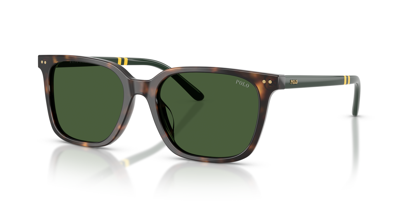 Gafas de Sol Polo Ralph Lauren PH4235U 500371 54 18