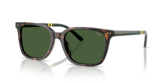 Gafas de Sol Polo Ralph Lauren PH4235U 500371 54 18