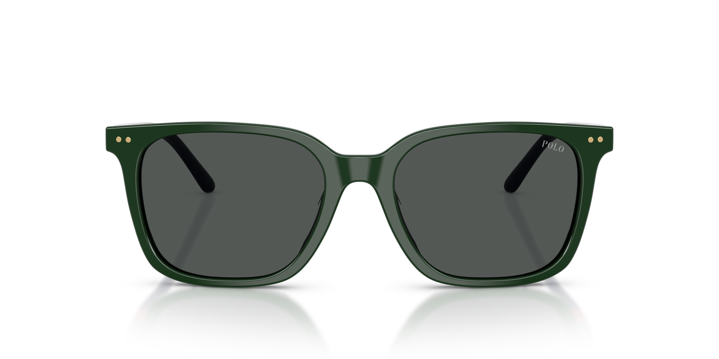 Gafas de Sol Polo Ralph Lauren PH4235U 614087 54 18