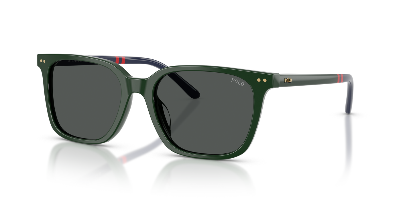 Gafas de Sol Polo Ralph Lauren PH4235U 614087 54 18