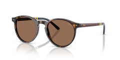 Gafas de Sol Polo Ralph Lauren PH4236 500373 50 20