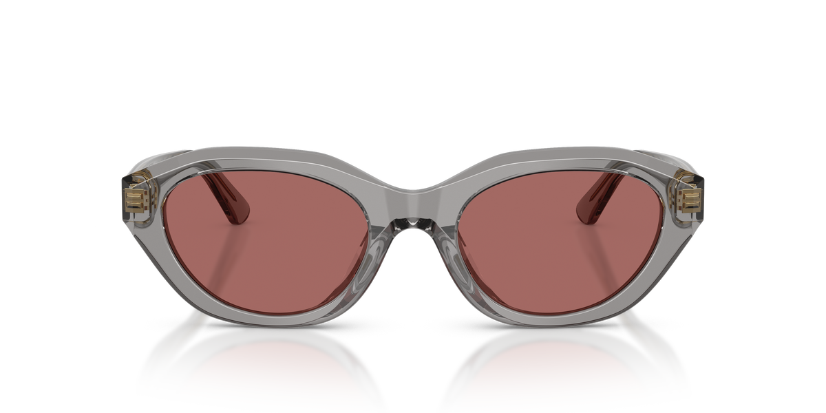 Gafas de Sol Polo Ralph Lauren PH4237U 631869 52 20