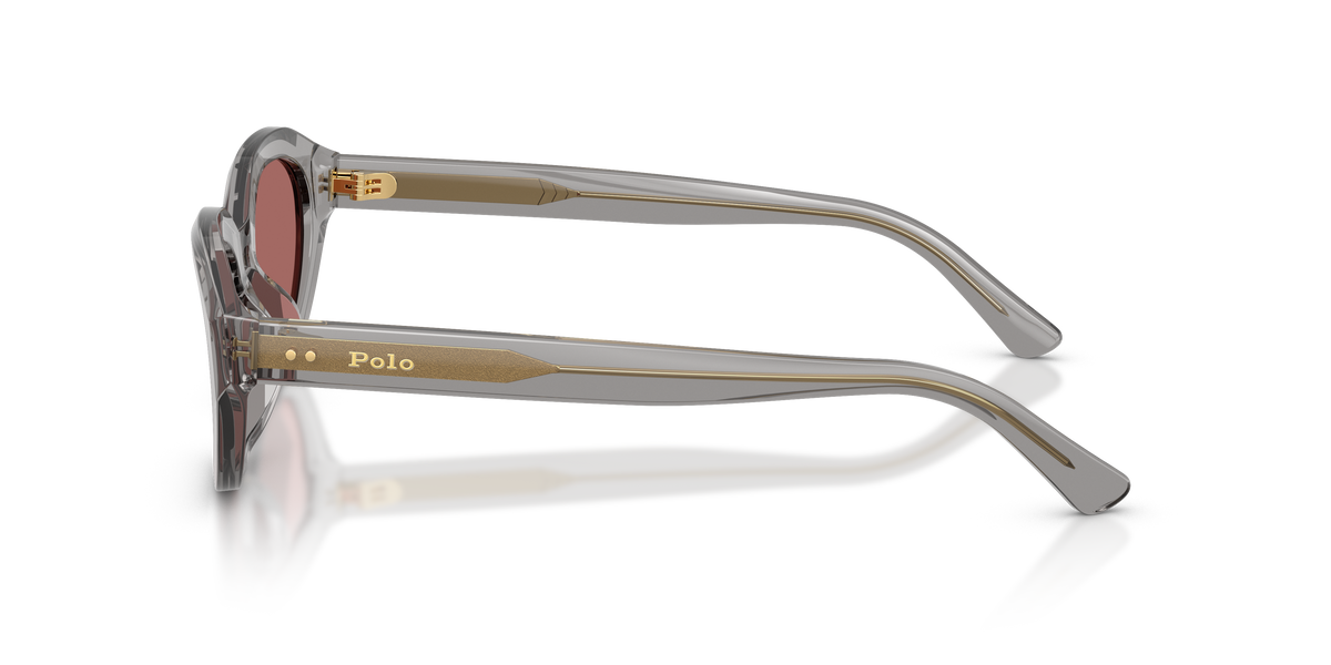 Gafas de Sol Polo Ralph Lauren PH4237U 631869 52 20