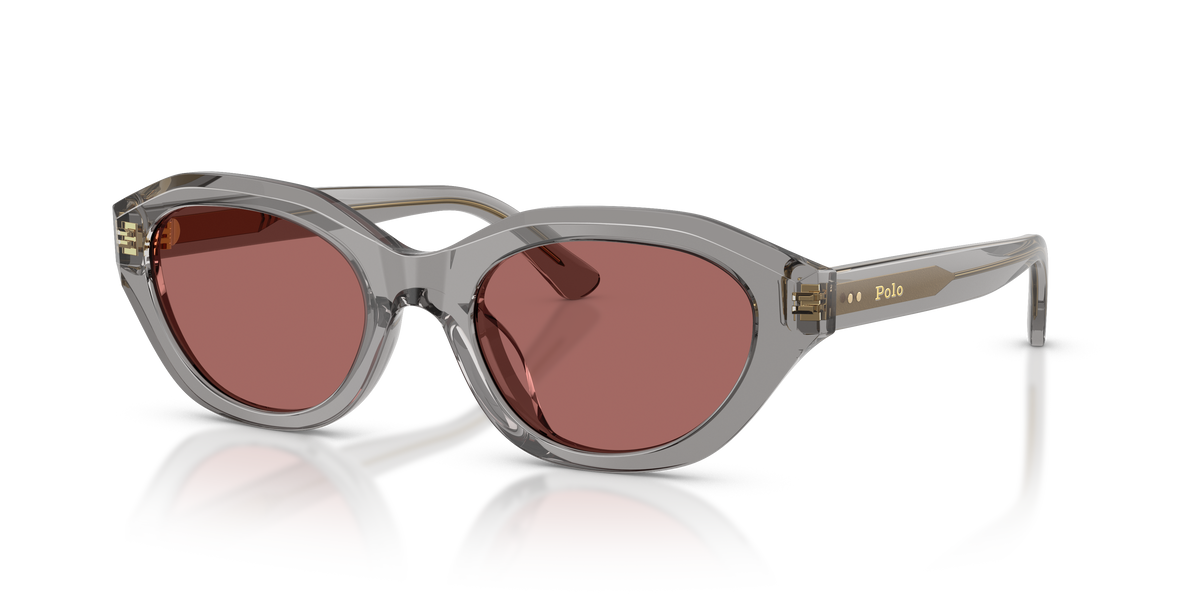 Gafas de Sol Polo Ralph Lauren PH4237U 631869 52 20