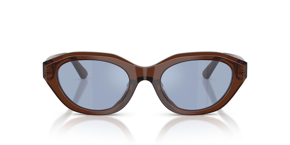 Gafas de Sol Polo Ralph Lauren PH4237U 63531U 52 20