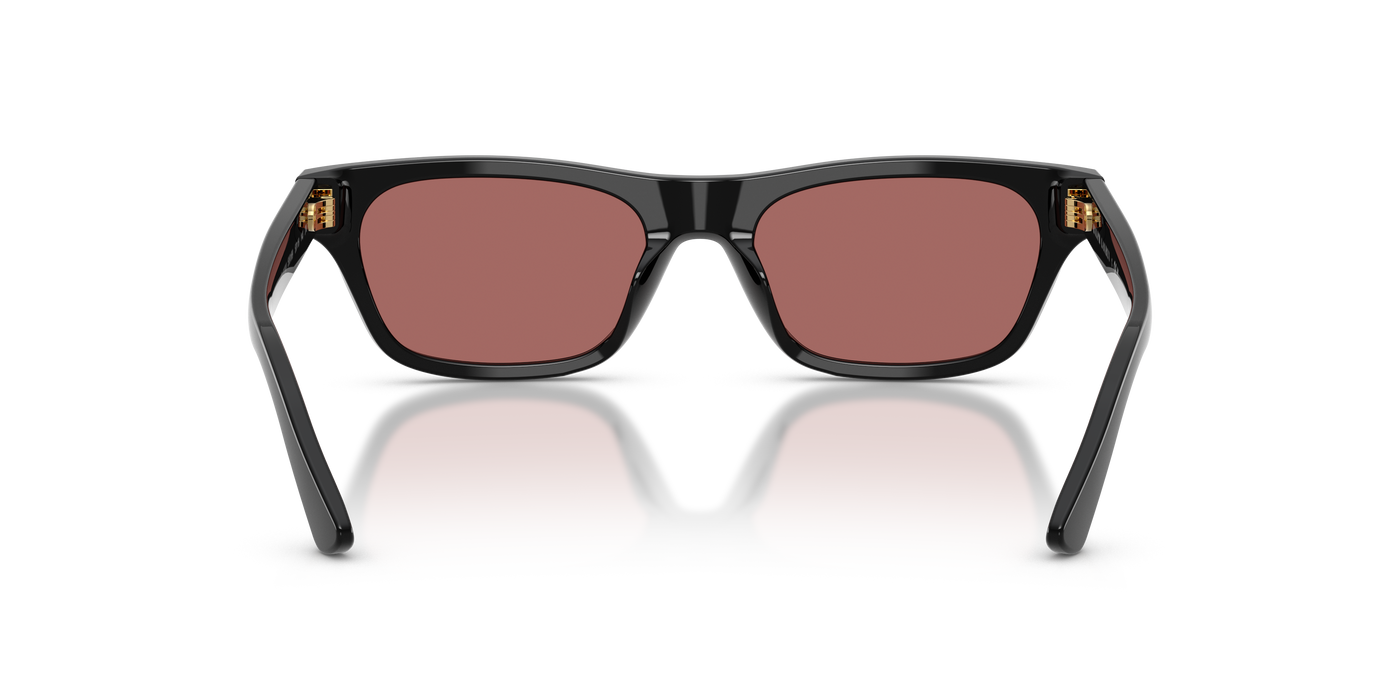 Sunglasses Polo Ralph Lauren PH4238U 500169 53 18
