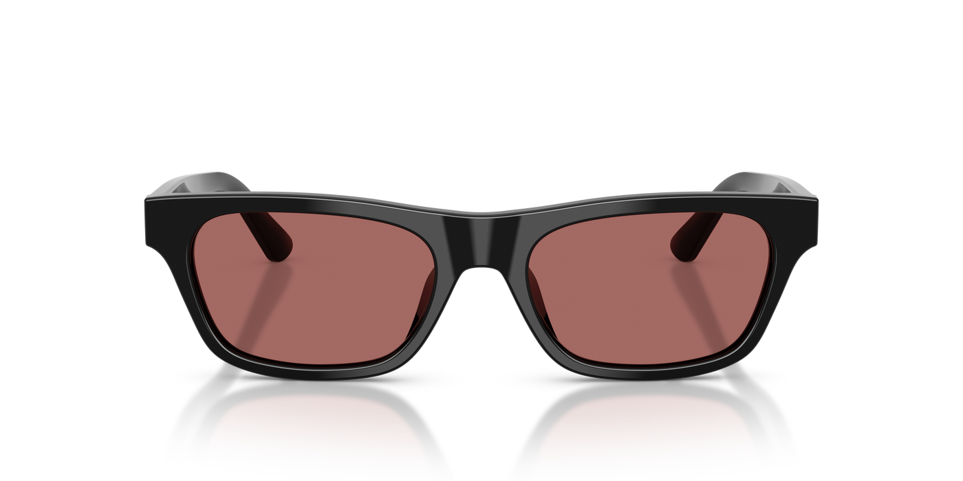 Sunglasses Polo Ralph Lauren PH4238U 500169 53 18