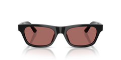 Sunglasses Polo Ralph Lauren PH4238U 500169 53 18