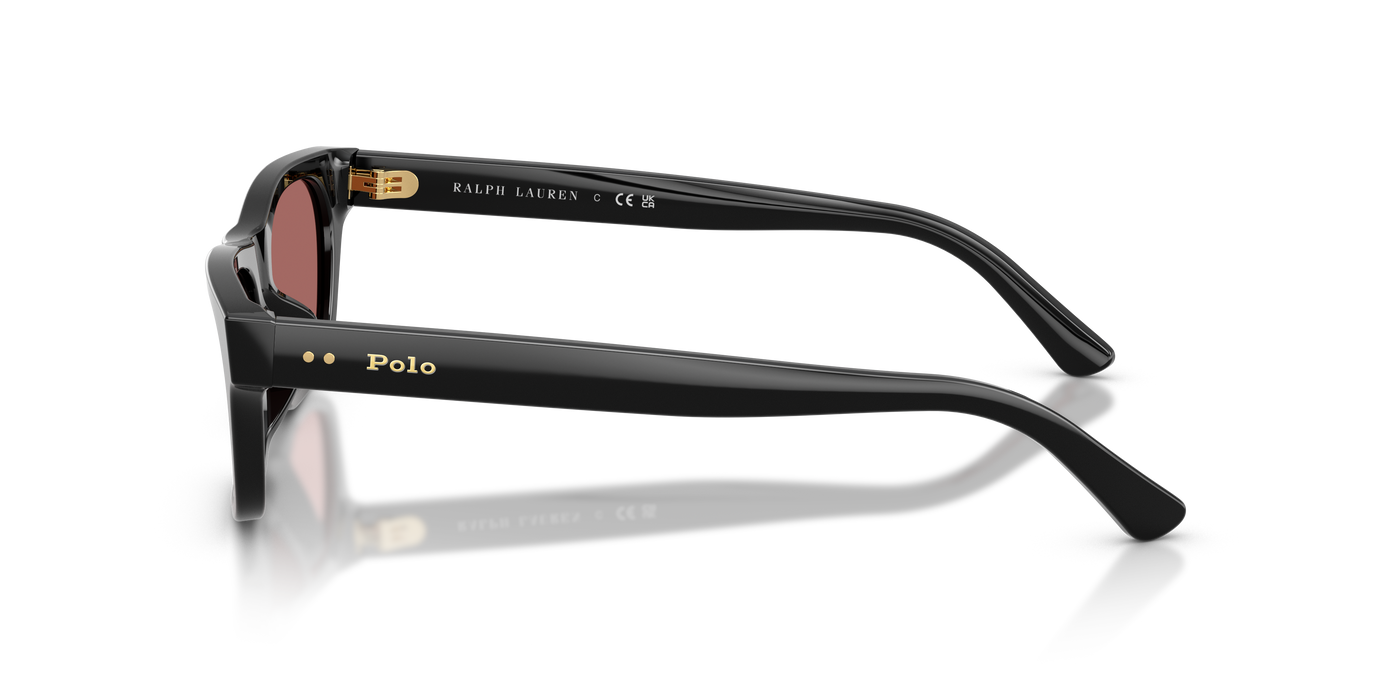 Sunglasses Polo Ralph Lauren PH4238U 500169 53 18