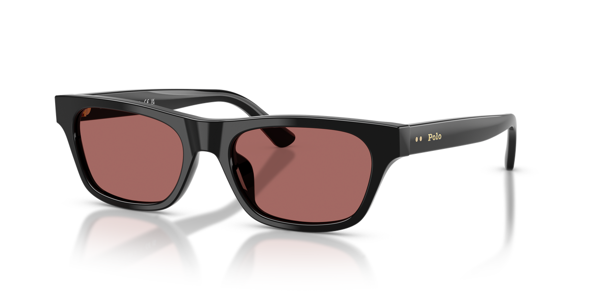 Gafas de Sol Polo Ralph Lauren PH4238U 500169 53 18