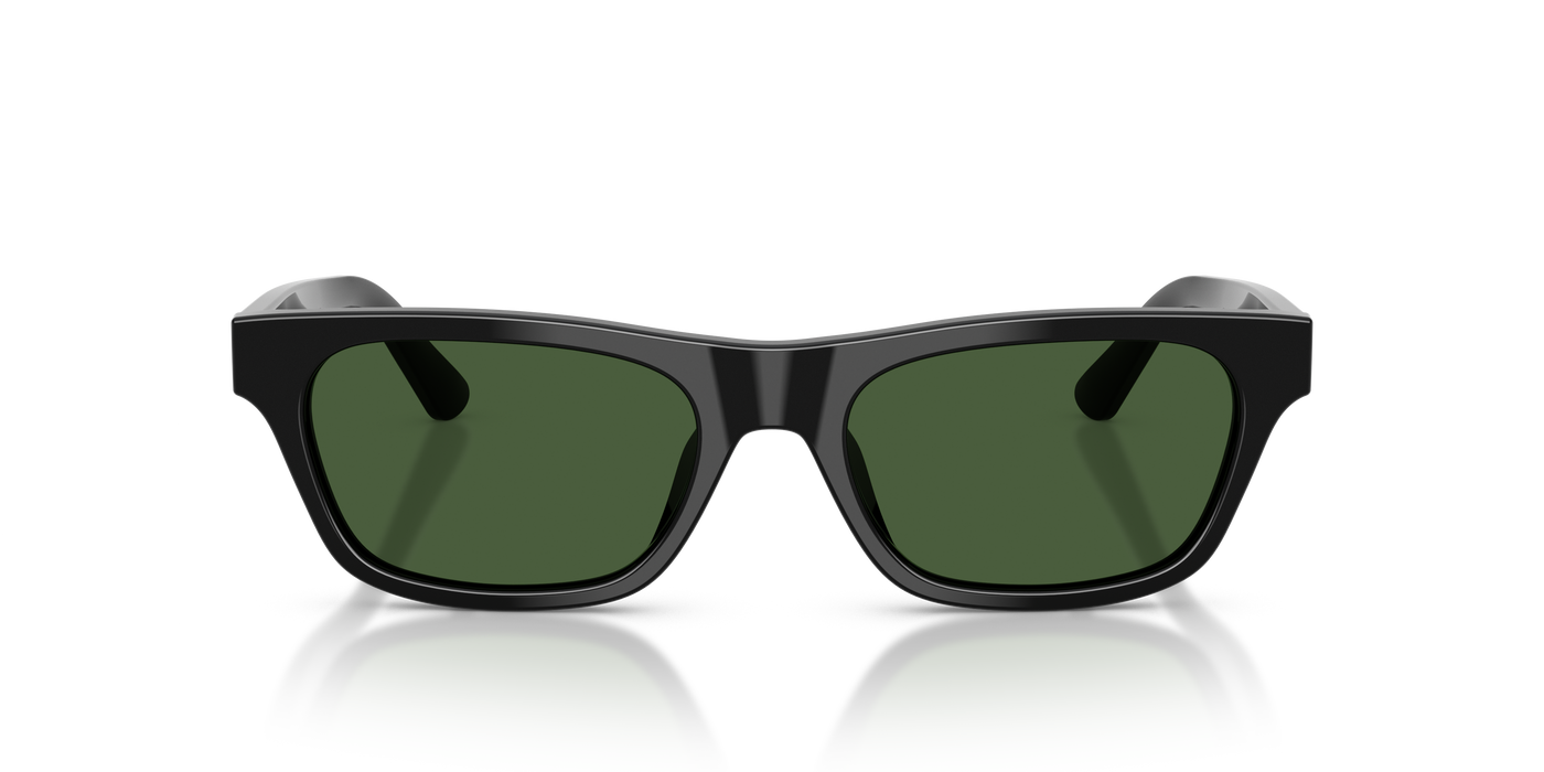 Gafas de Sol Polo Ralph Lauren PH4238U 500171 53 18