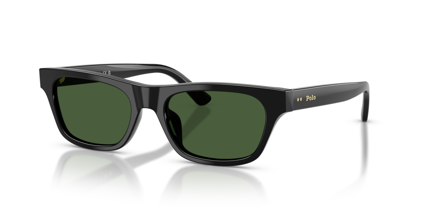 Gafas de Sol Polo Ralph Lauren PH4238U 500171 53 18