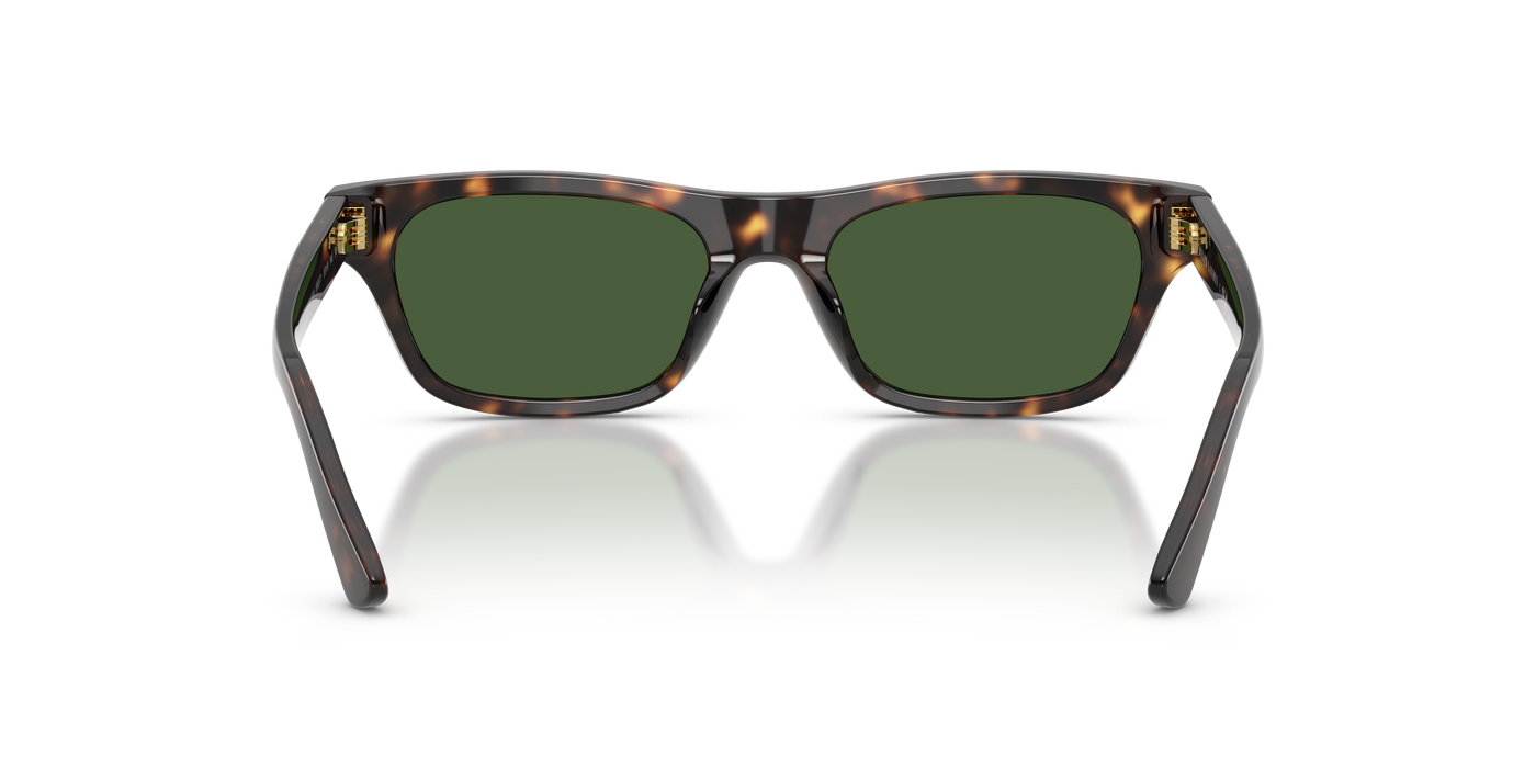 Gafas de Sol Polo Ralph Lauren PH4238U 500371 53 18