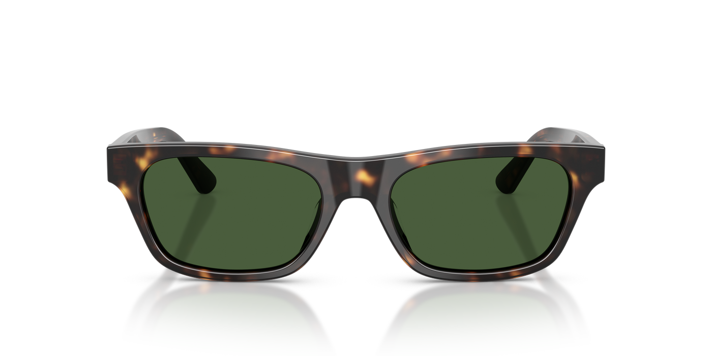 Gafas de Sol Polo Ralph Lauren PH4238U 500371 53 18