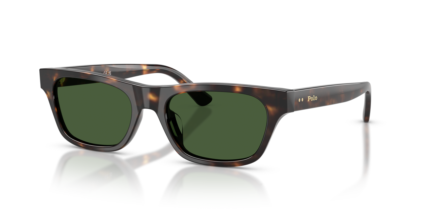 Gafas de Sol Polo Ralph Lauren PH4238U 500371 53 18