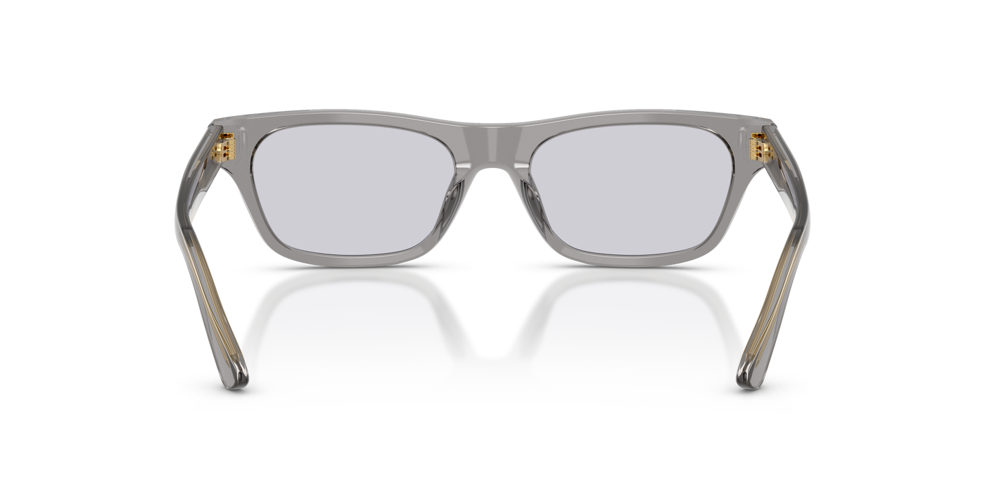Gafas de Sol Polo Ralph Lauren PH4238U 63181A 53 18