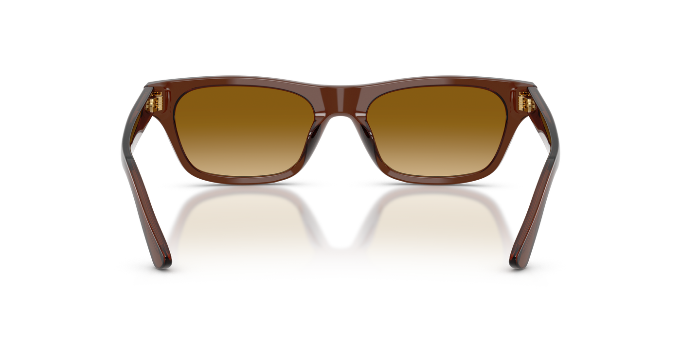 Gafas de Sol Polo Ralph Lauren PH4238U 63532L 53 18
