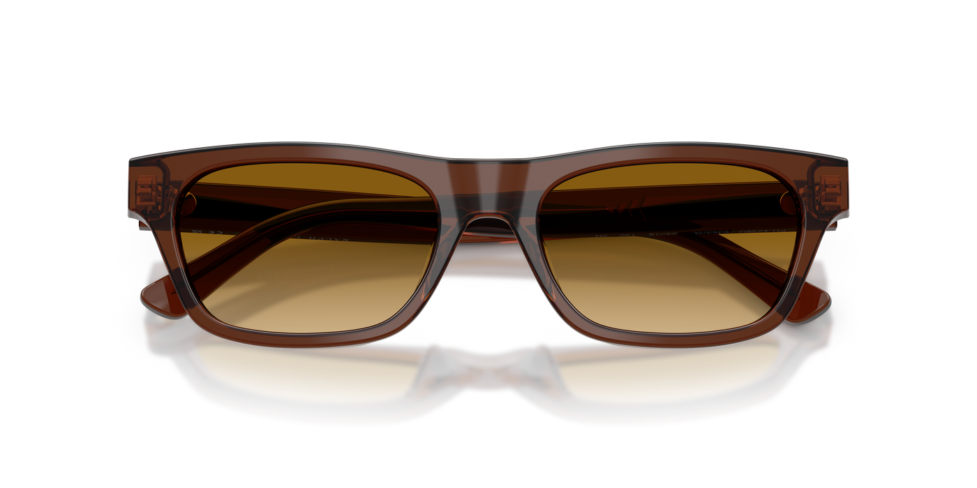 Gafas de Sol Polo Ralph Lauren PH4238U 63532L 53 18