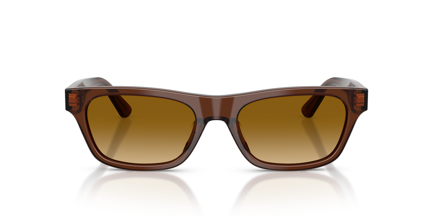 Gafas de Sol Polo Ralph Lauren PH4238U 63532L 53 18