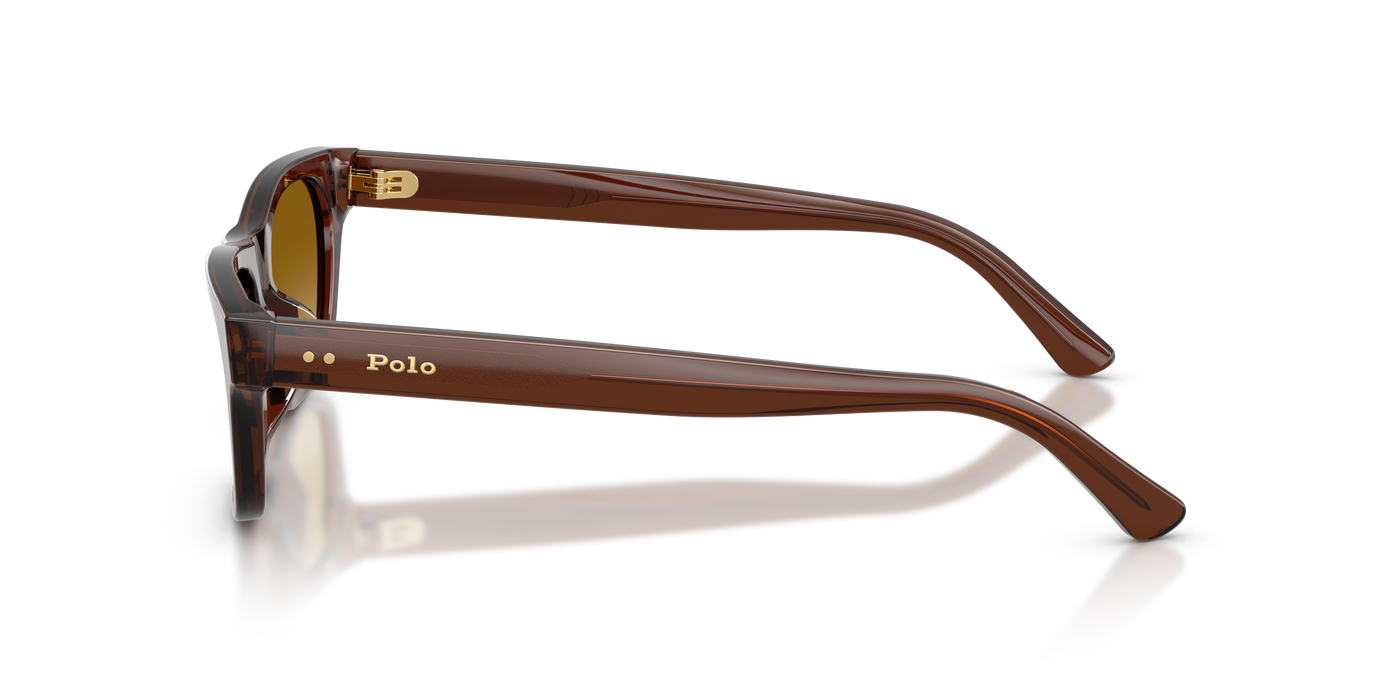 Gafas de Sol Polo Ralph Lauren PH4238U 63532L 53 18