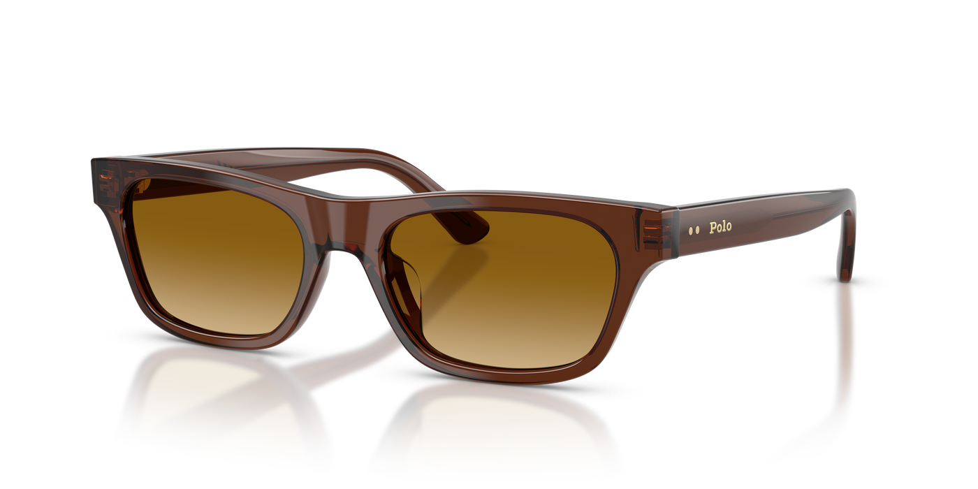 Gafas de Sol Polo Ralph Lauren PH4238U 63532L 53 18