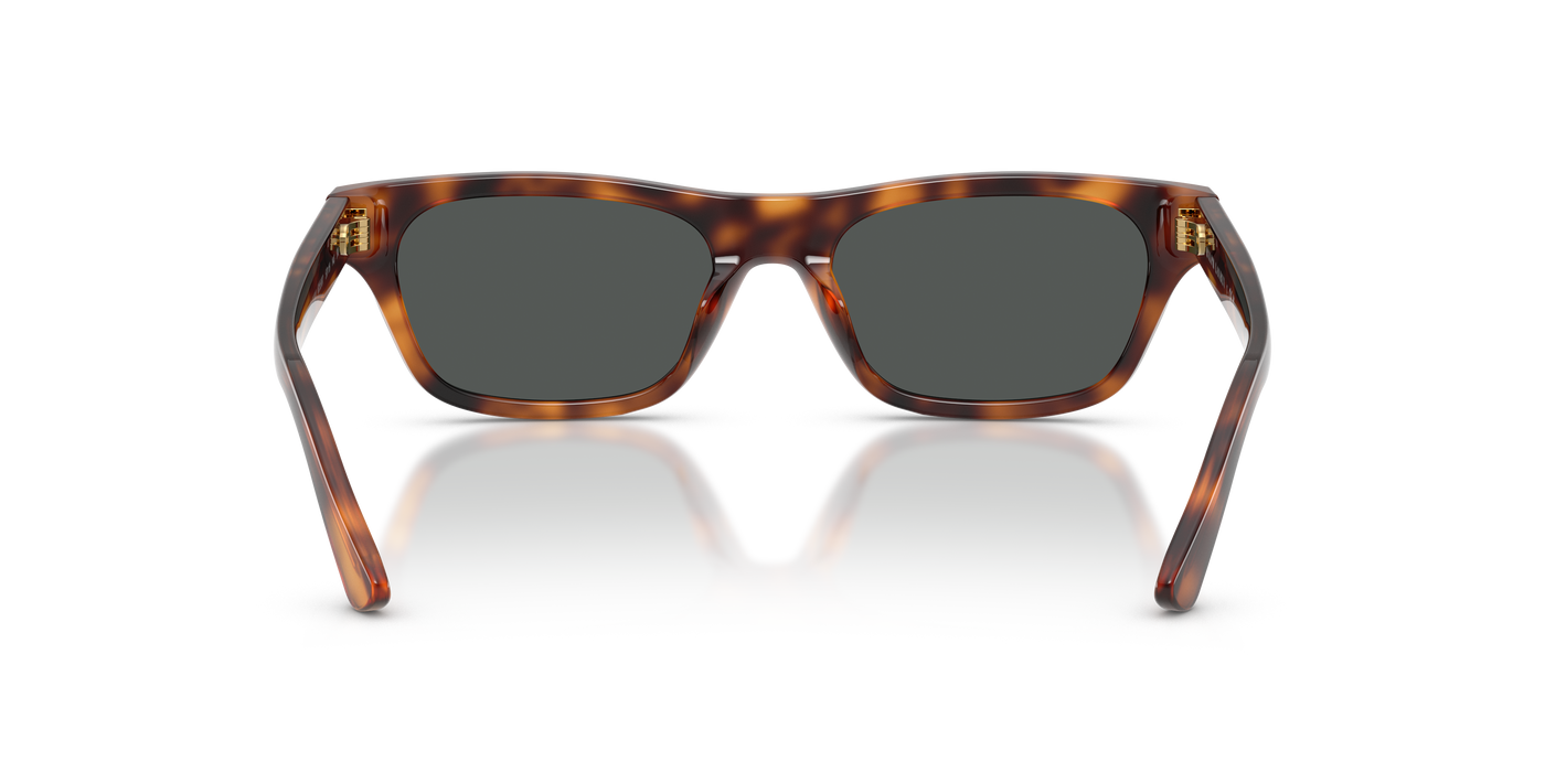 Gafas de Sol Polo Ralph Lauren PH4238U 635587 53 18