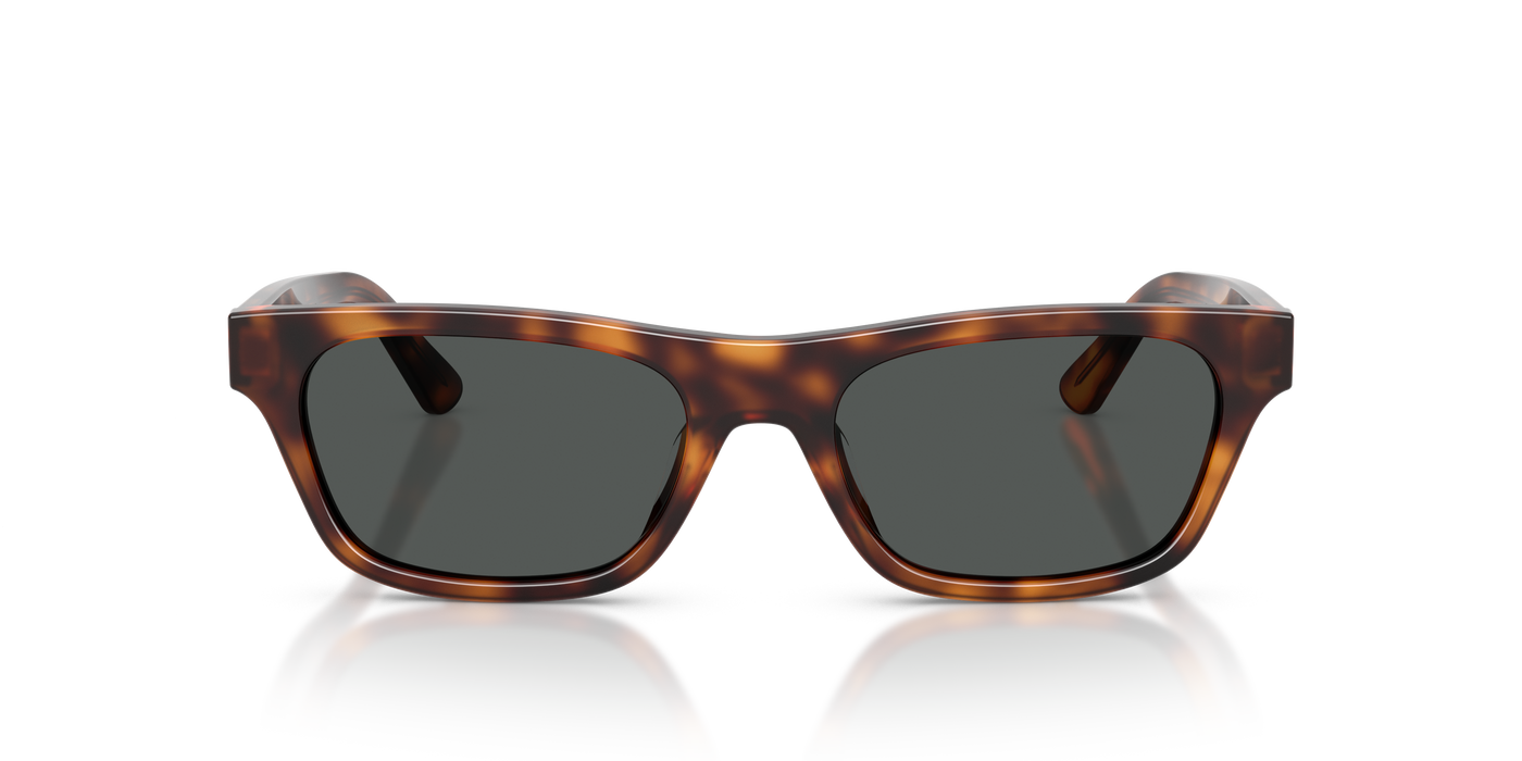 Gafas de Sol Polo Ralph Lauren PH4238U 635587 53 18