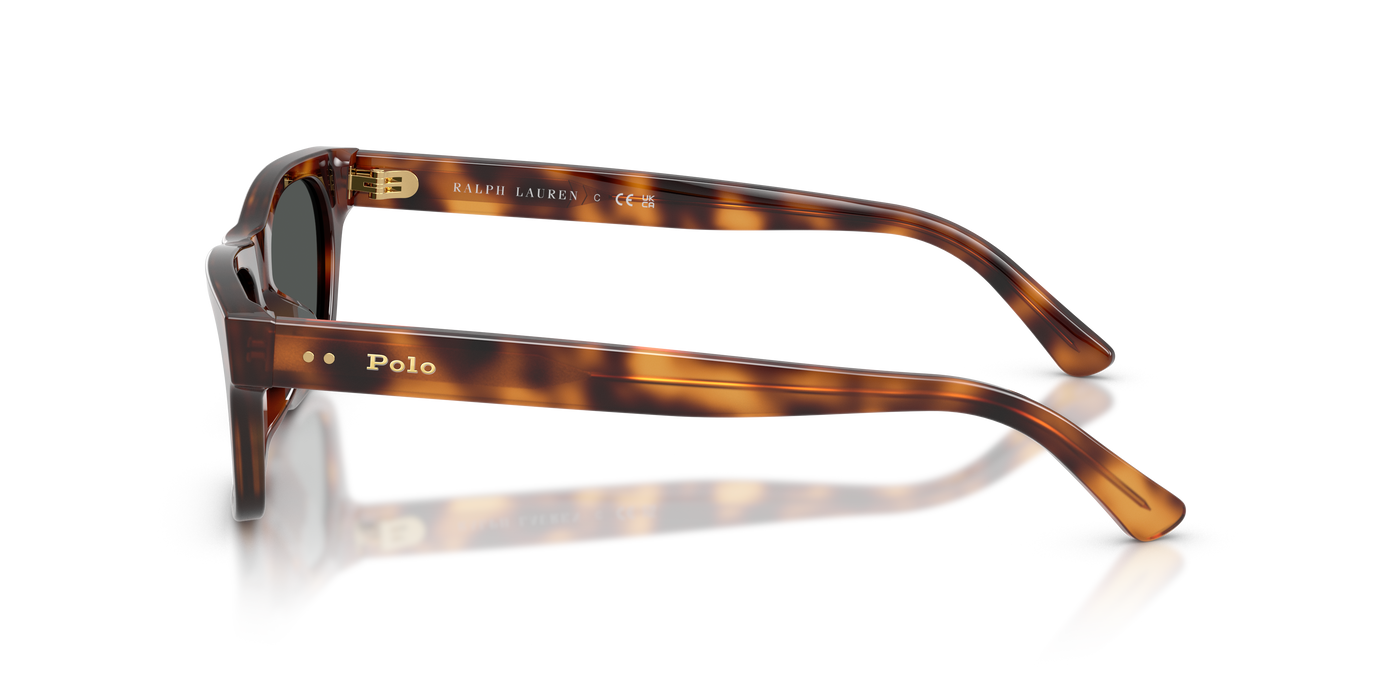 Gafas de Sol Polo Ralph Lauren PH4238U 635587 53 18