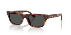 Gafas de Sol Polo Ralph Lauren PH4238U 635587 53 18