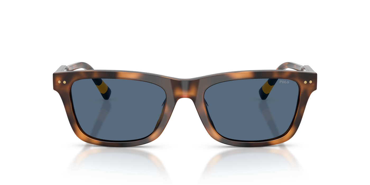 Gafas de Sol Polo Ralph Lauren PH4240U 608980 54 19