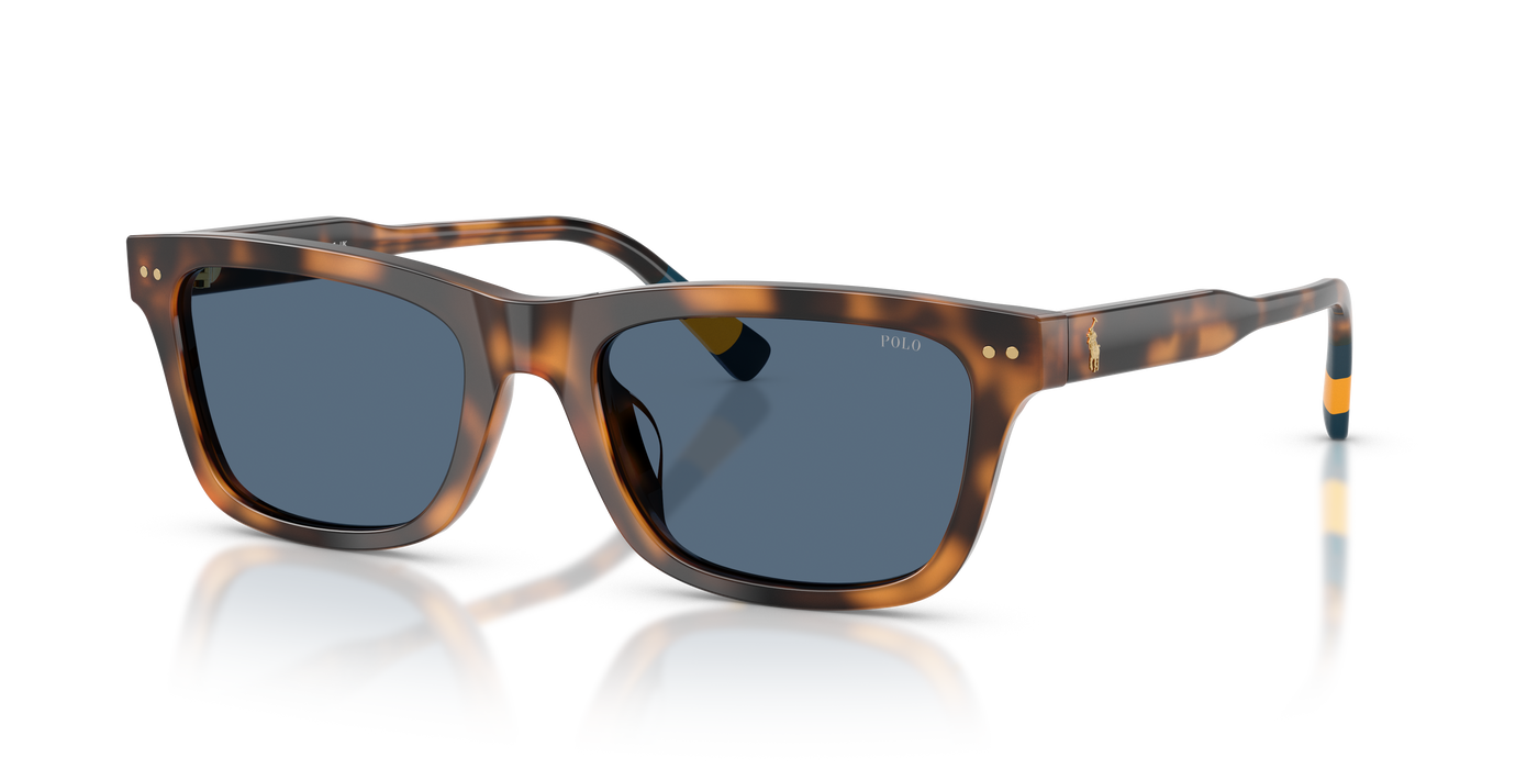 Gafas de Sol Polo Ralph Lauren PH4240U 608980 54 19