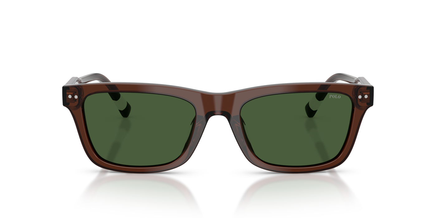 Gafas de Sol Polo Ralph Lauren PH4240U 631571 54 19