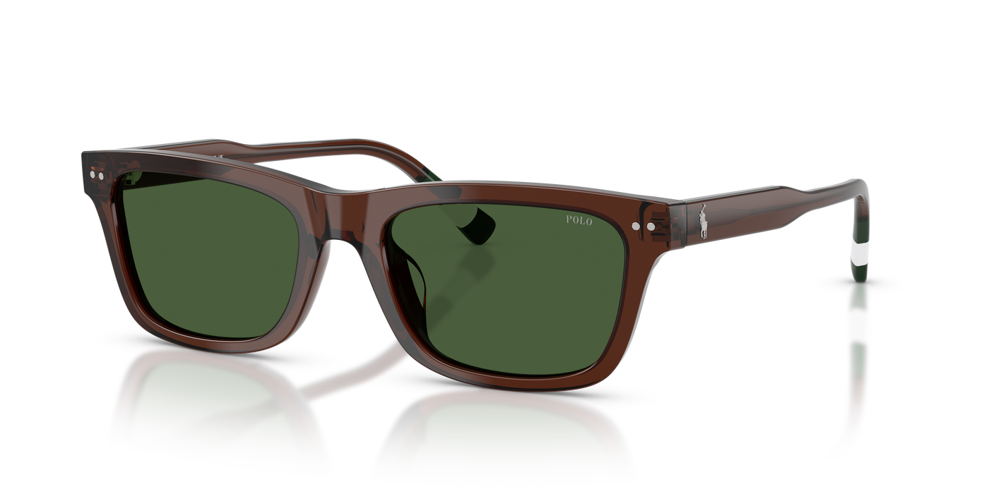 Gafas de Sol Polo Ralph Lauren PH4240U 631571 54 19