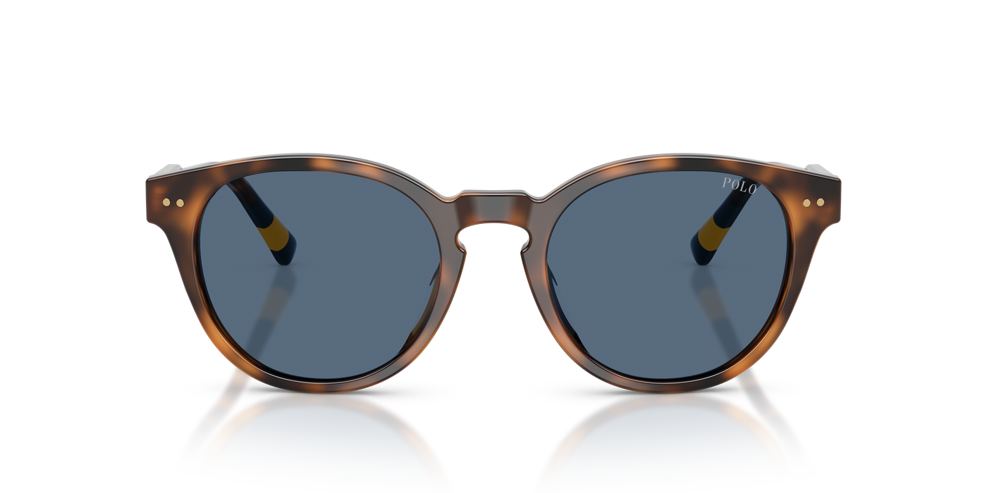 Gafas de Sol Polo Ralph Lauren PH4241U 608980 52 20